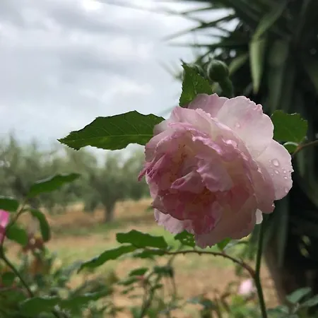 Amurusanza - Dependance Con Piscina וילה *