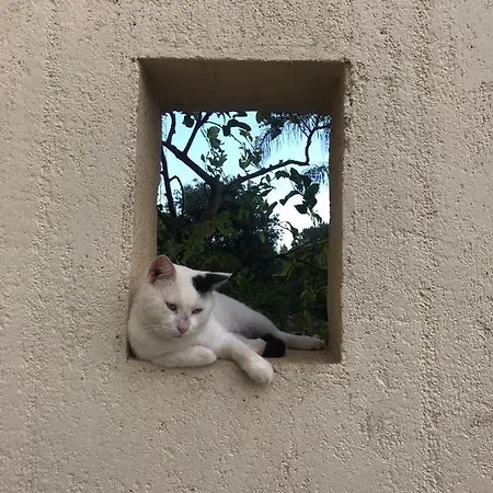 Amurusanza - Dependance Con Piscina וילה